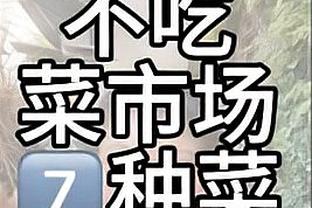 邮报：前曼联CEO吉尔反对欧足联密谋允许切费林继续掌权至2031年